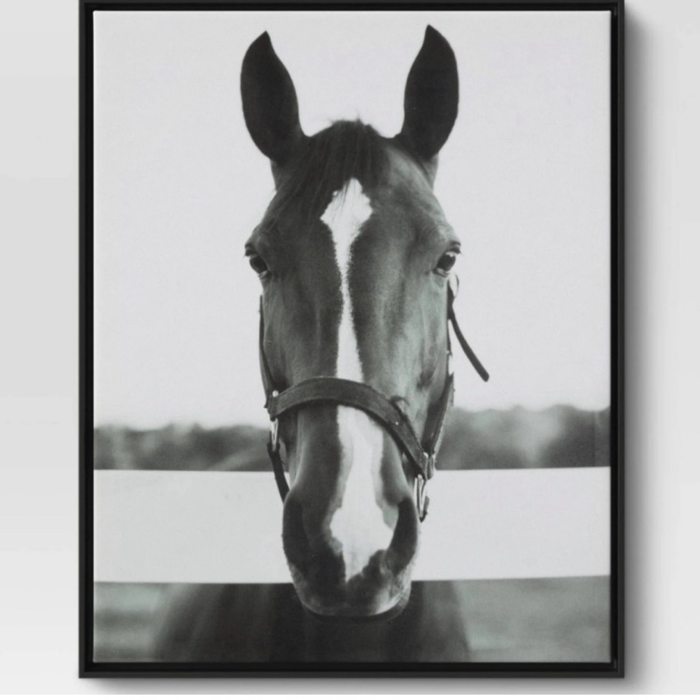 Threshold Horse Canvas 24x30